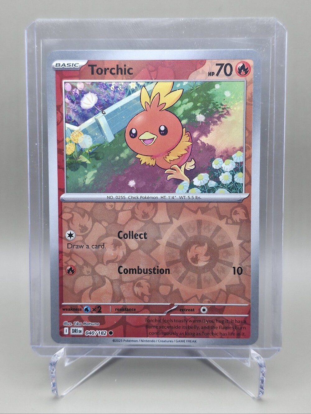 Pokémon TCG - Torchic - Destined Rivals - Reverse Holo - 040/182